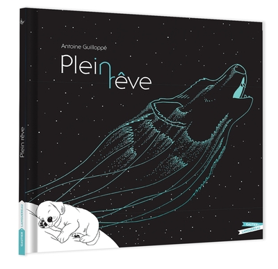 Plein rêve